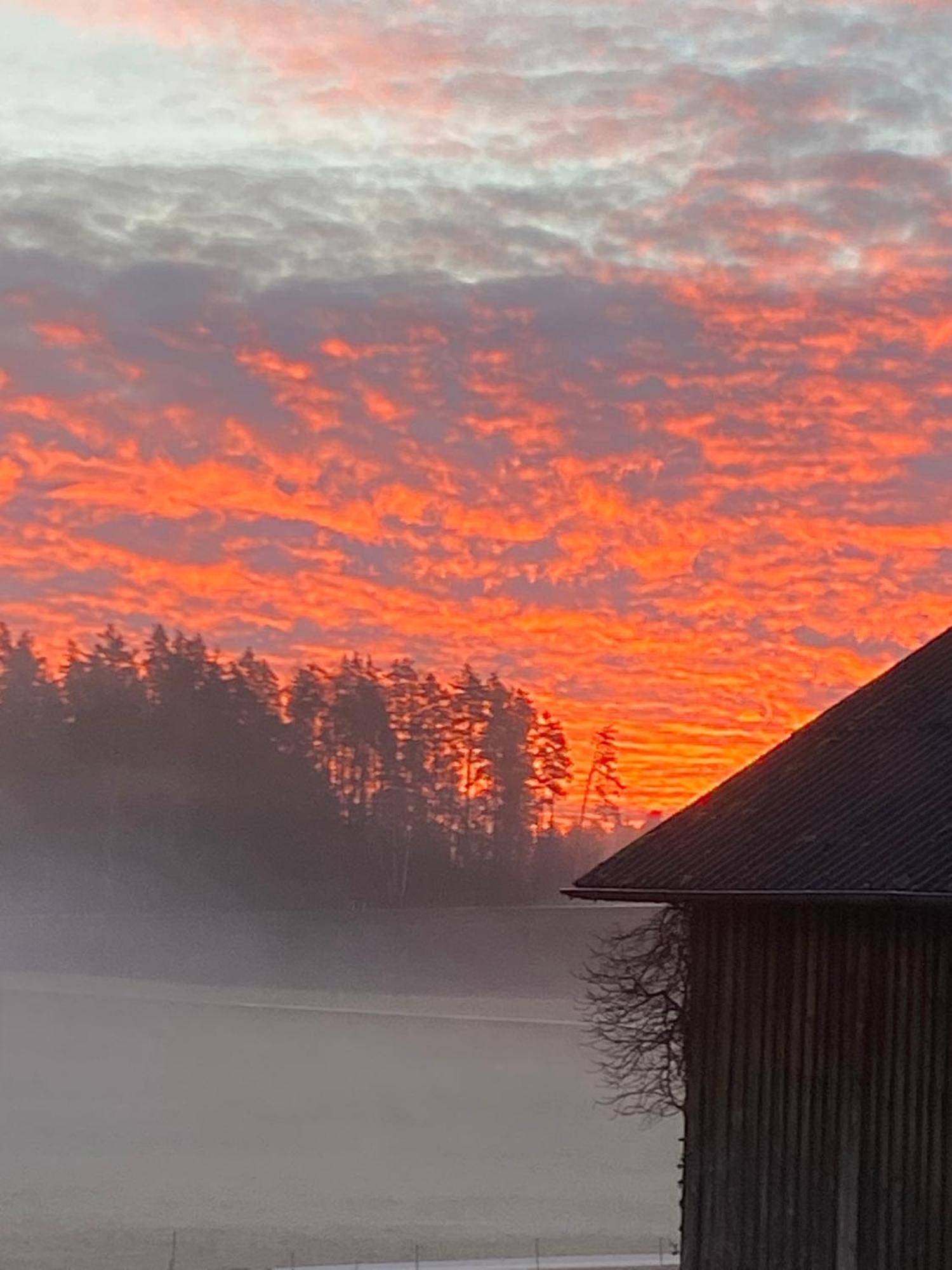 Baerenhof Апартаменты