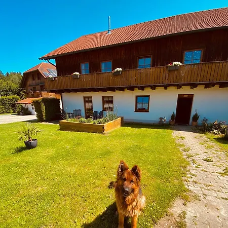 Baerenhof Apartment Tirschenreuth Exterior photo