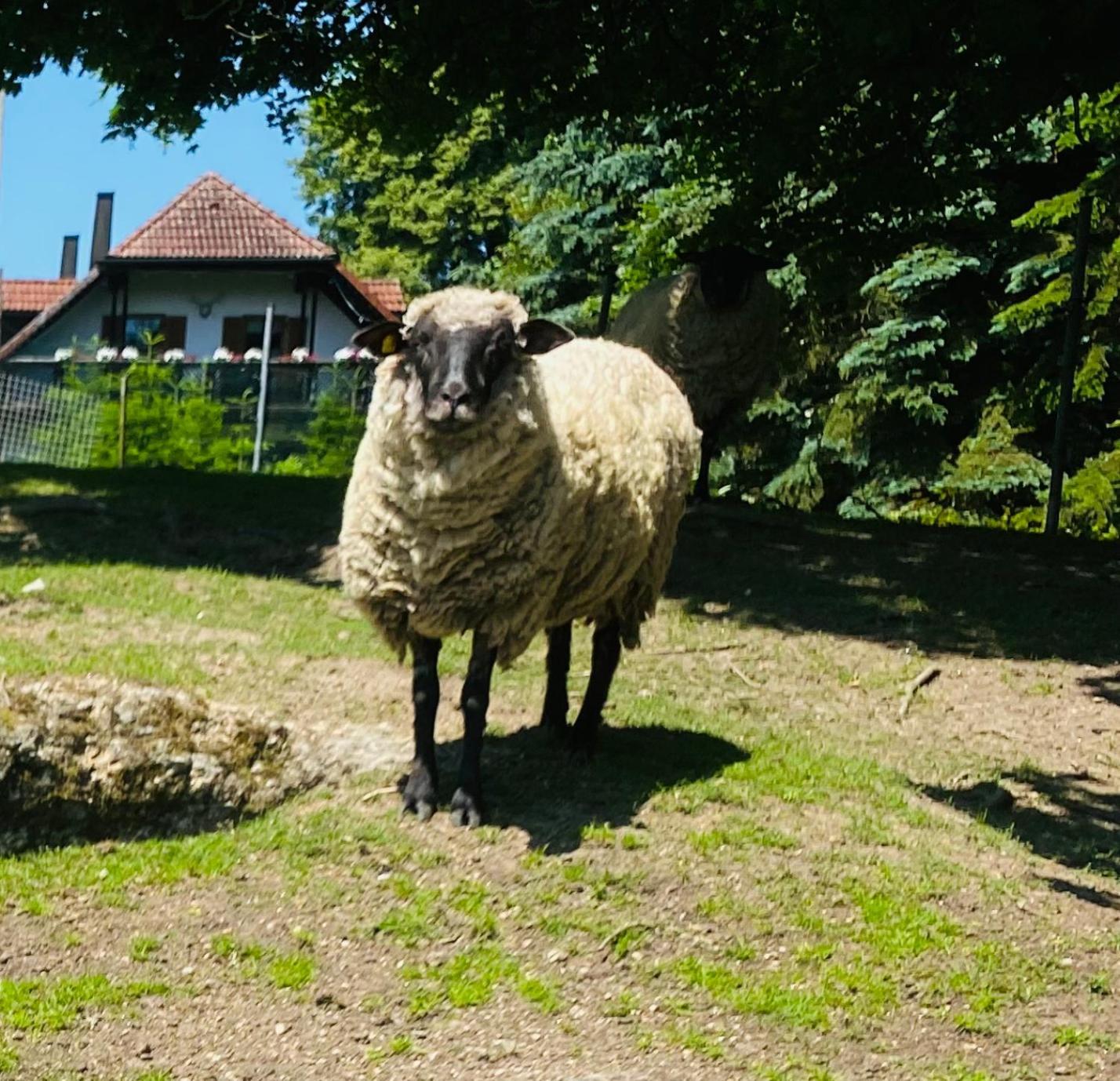 Baerenhof * Tirschenreuth