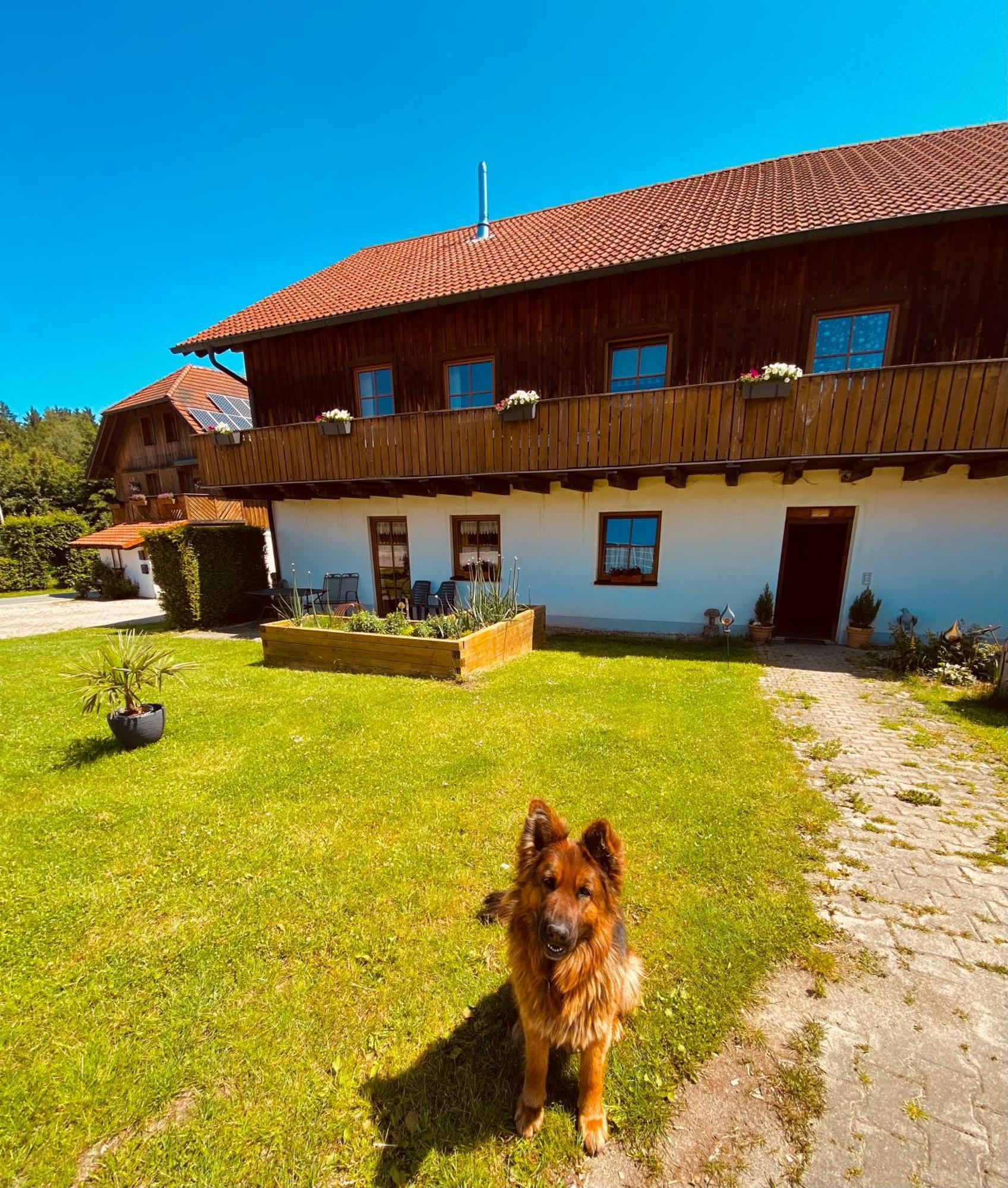 Baerenhof Apartment Tirschenreuth